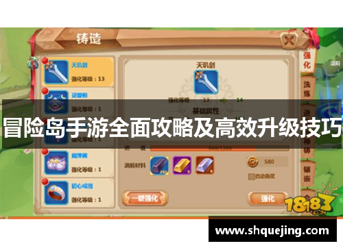 冒险岛手游全面攻略及高效升级技巧