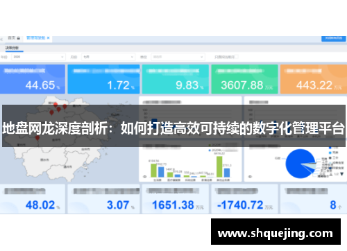 地盘网龙深度剖析：如何打造高效可持续的数字化管理平台