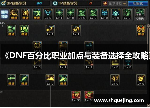 《DNF百分比职业加点与装备选择全攻略》