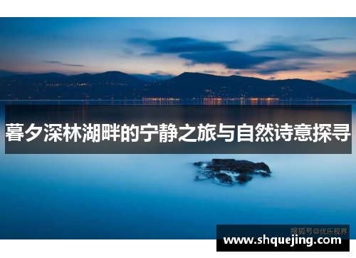 暮夕深林湖畔的宁静之旅与自然诗意探寻