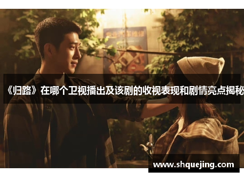 《归路》在哪个卫视播出及该剧的收视表现和剧情亮点揭秘